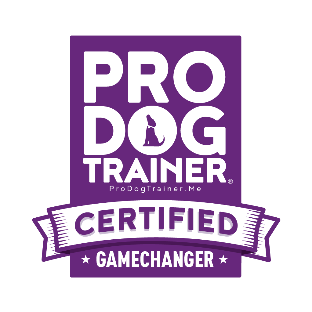 absolute dog pro trainer certified