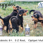 puppies