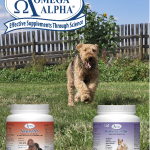 sinew and probiotic 8 support